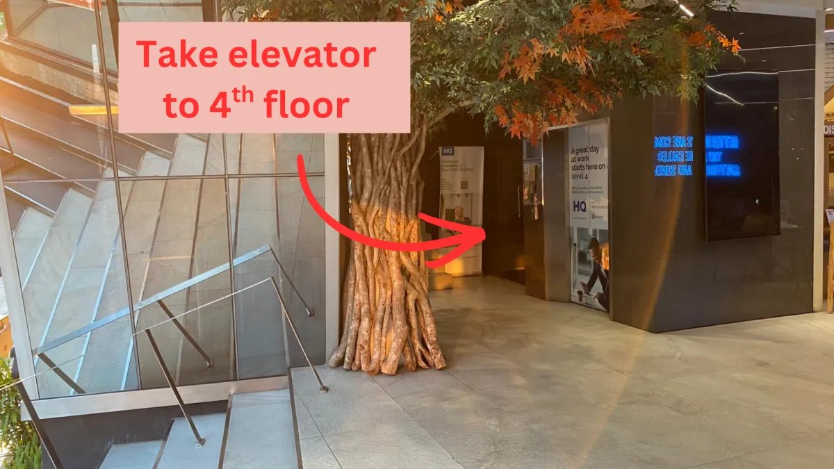 The Blue Chips lobby, with the lift lobby beyond the large tree