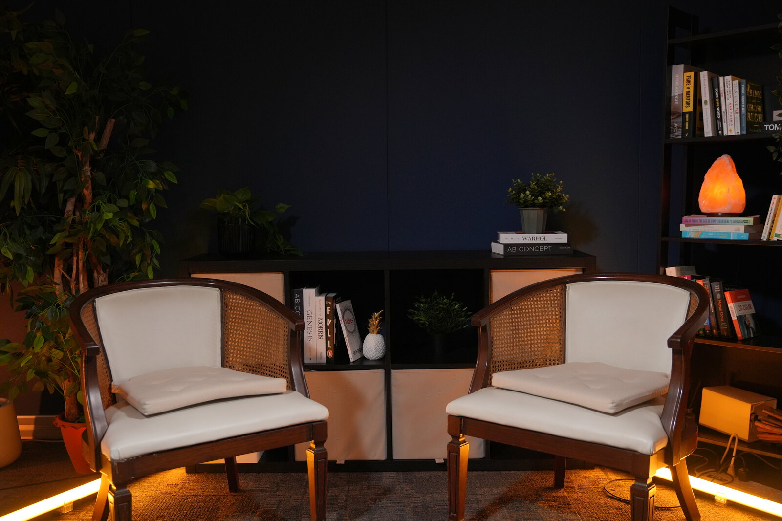 New York set: cane-back armchairs facing the camera, styled bookshelf and colour-washed wall behind